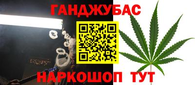 PSILOCYBIN Кунгур