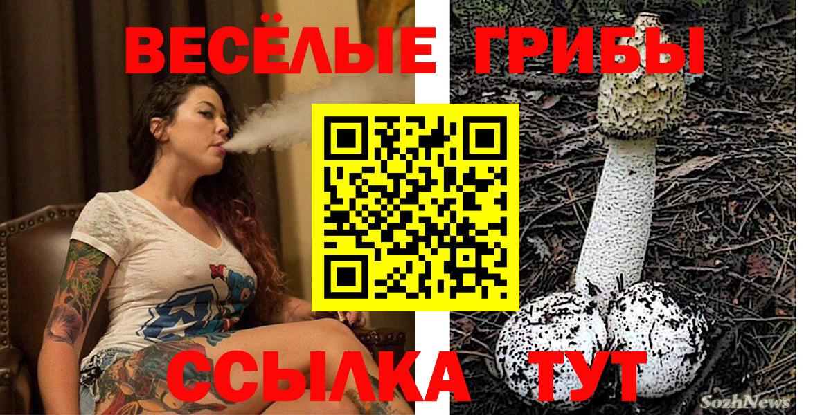 Долгопрудный  Галлюциногенные грибы Psilocybine cubensis  Вход с VPN 